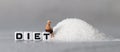 White cube arranged in the word  Ã¢â¬â¢DIET` with sugar. Royalty Free Stock Photo